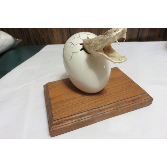 RARE VINTAGE TAXIDERMY SMALL RATTLESNAKE HEAD BURSTING OUT OF A CERAMIC EGG - Picture 3 of 7